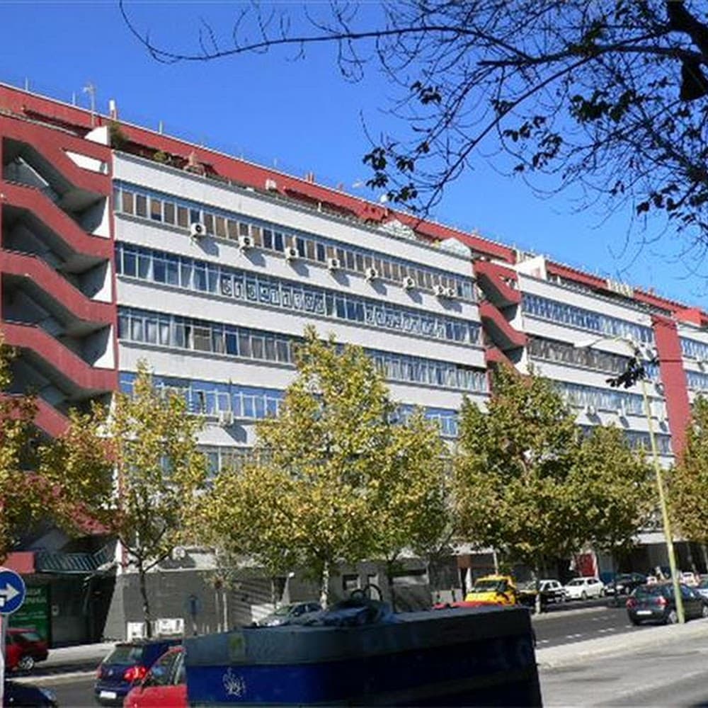 Programador Web Autónomo en Madrid