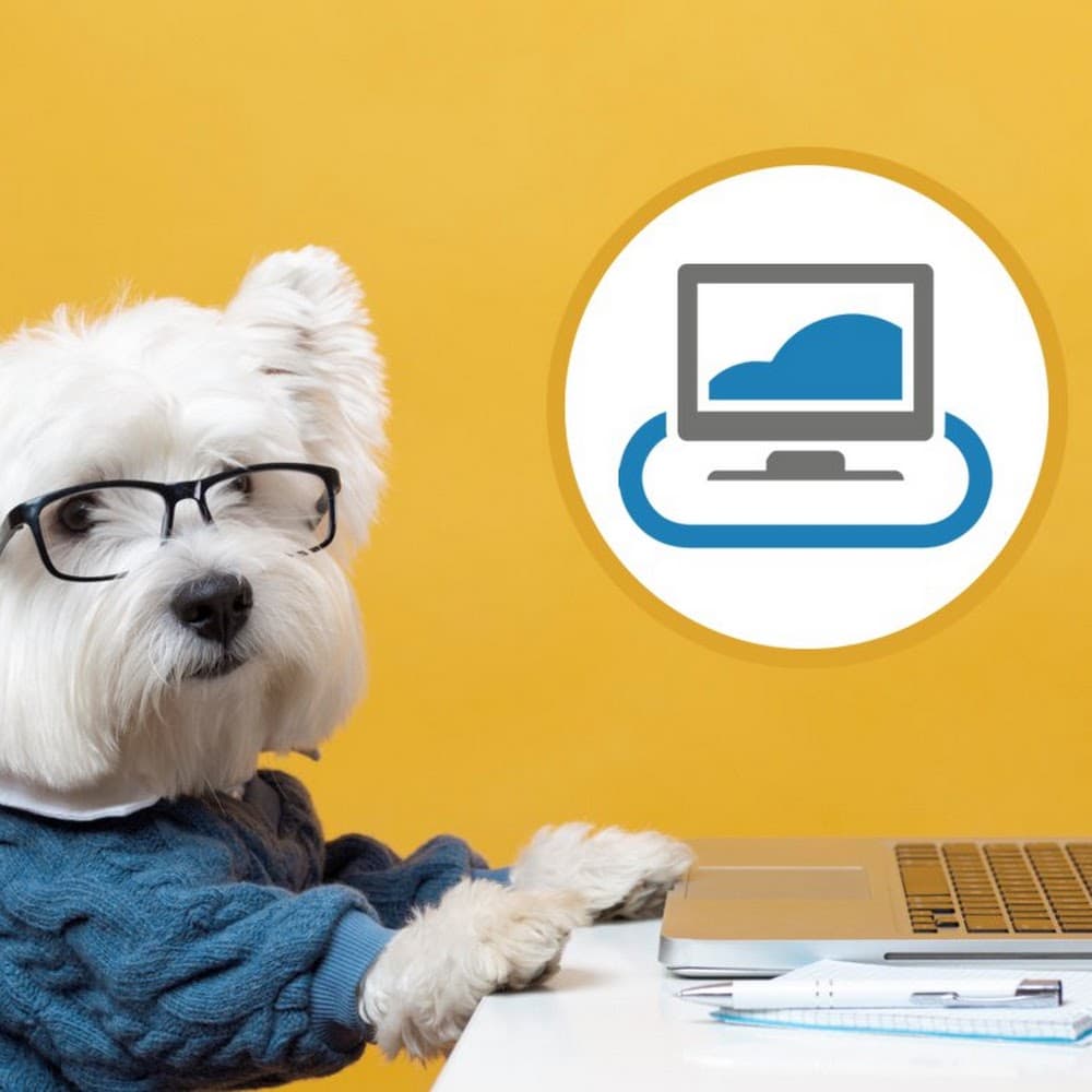 Programador Web Freelance Madrid